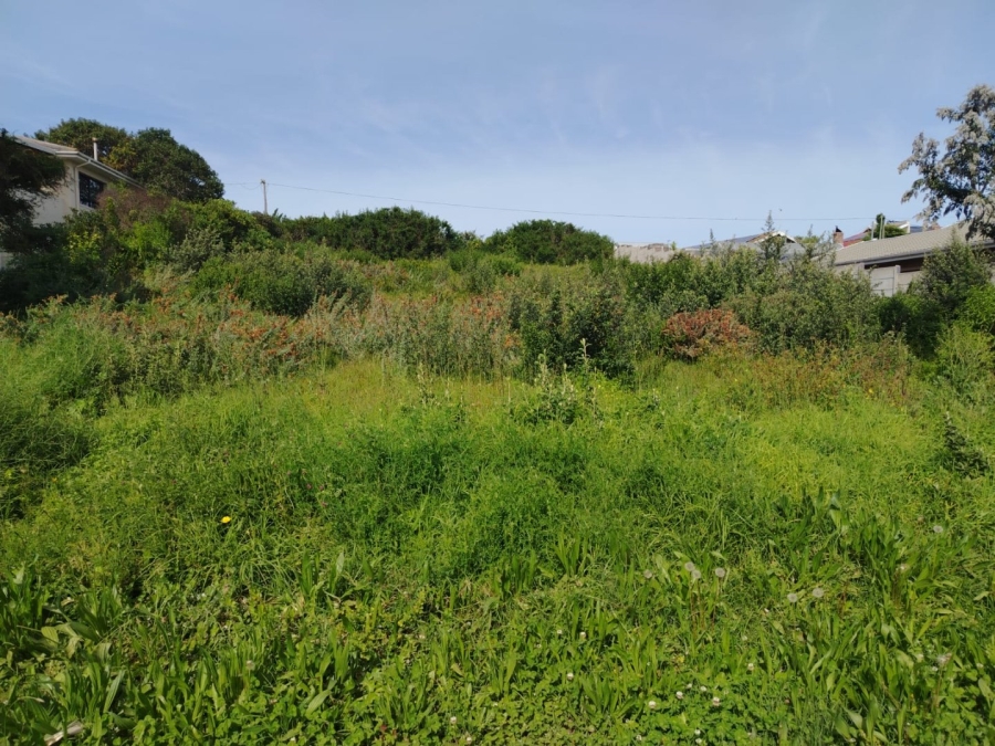 Commercial Property for Sale in Kingfisher Creek Western Cape